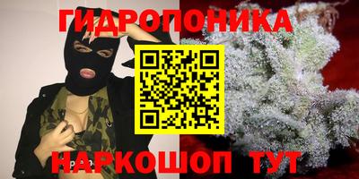 PSILOCYBIN Бузулук