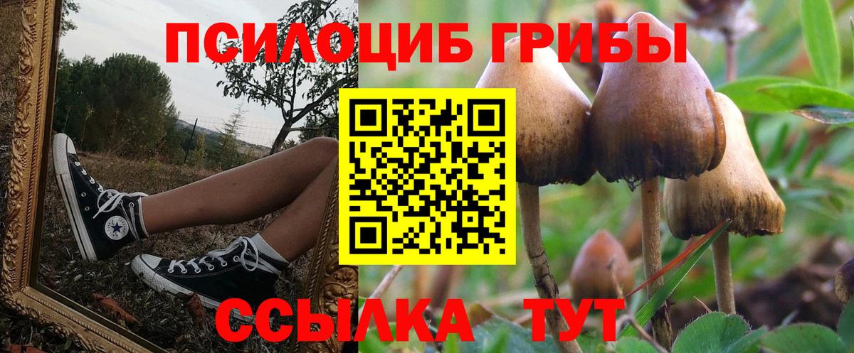 Ростов Великий  Галлюциногенные грибы Magic Shrooms  Вход с VPN 